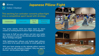 Japanese Pillow Fight