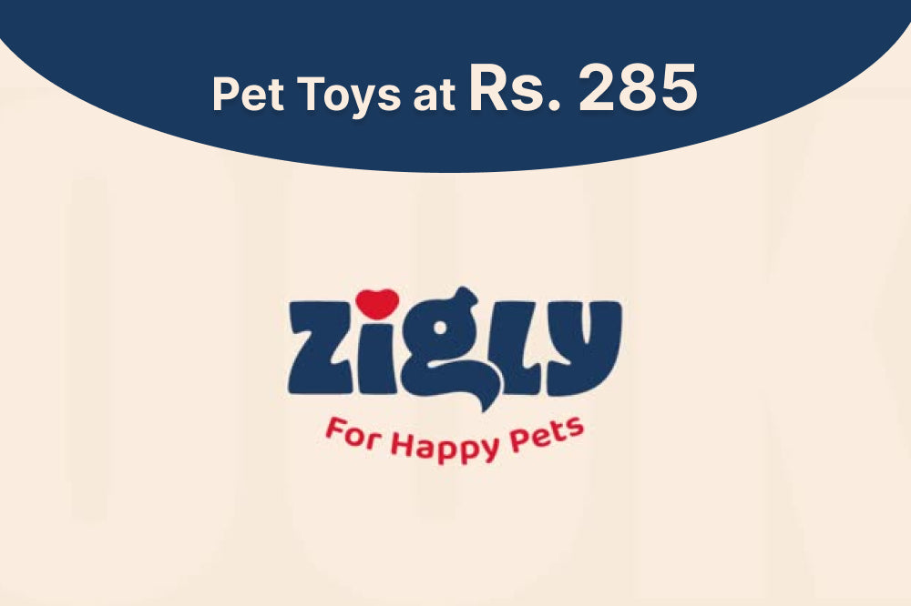 Chew Toys at Rs - 285/-